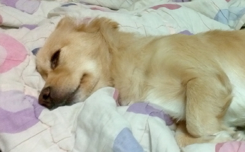 sleep